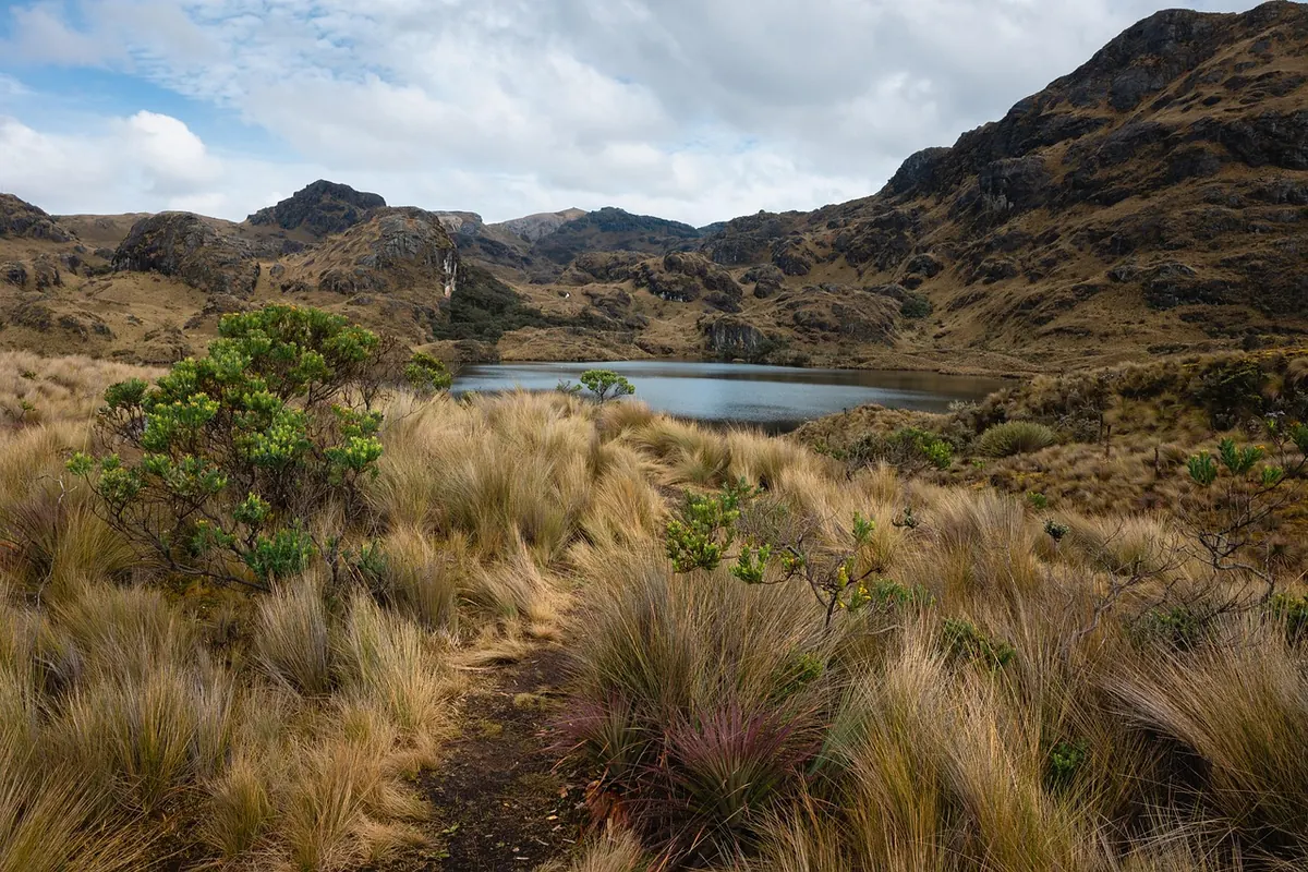 Common Mistakes New Nature Explorers Make in Wetlands (and How to Avoid Them)